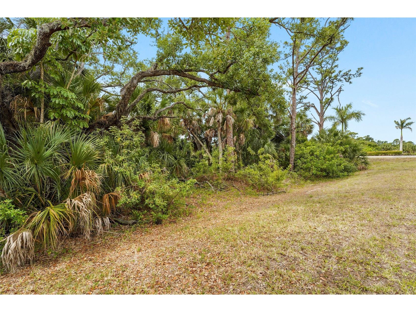 12055 Amica Loop Venice FL 34293 A4693365 image50