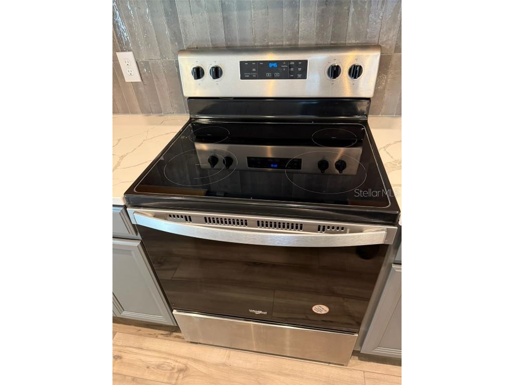 12055 Bracco Street Winter Garden FL 34787 O6366675 image10