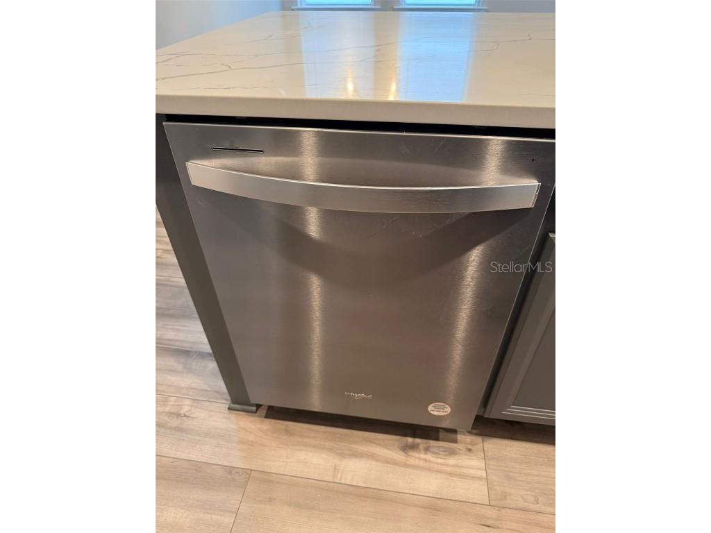 12055 Bracco Street Winter Garden FL 34787 O6366675 image13