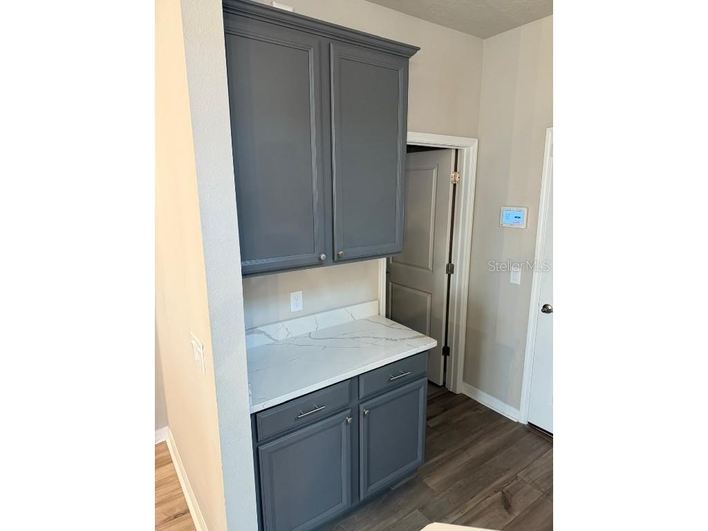 12055 Bracco Street Winter Garden FL 34787 O6366675 image16