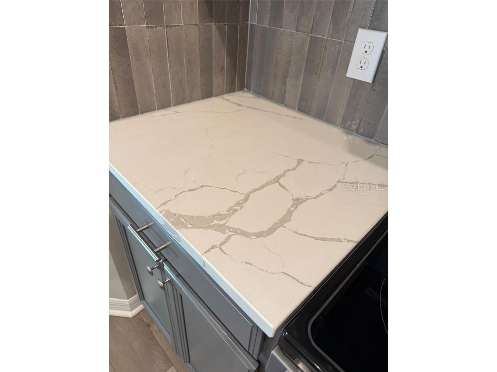 12055 Bracco Street Winter Garden FL 34787 O6366675 image17