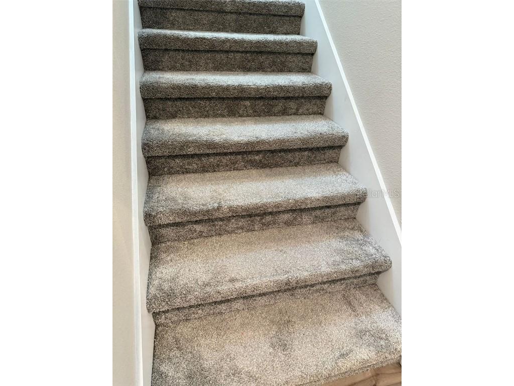 12055 Bracco Street Winter Garden FL 34787 O6366675 image19