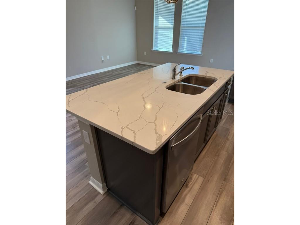 12055 Bracco Street Winter Garden FL 34787 O6366675 image8