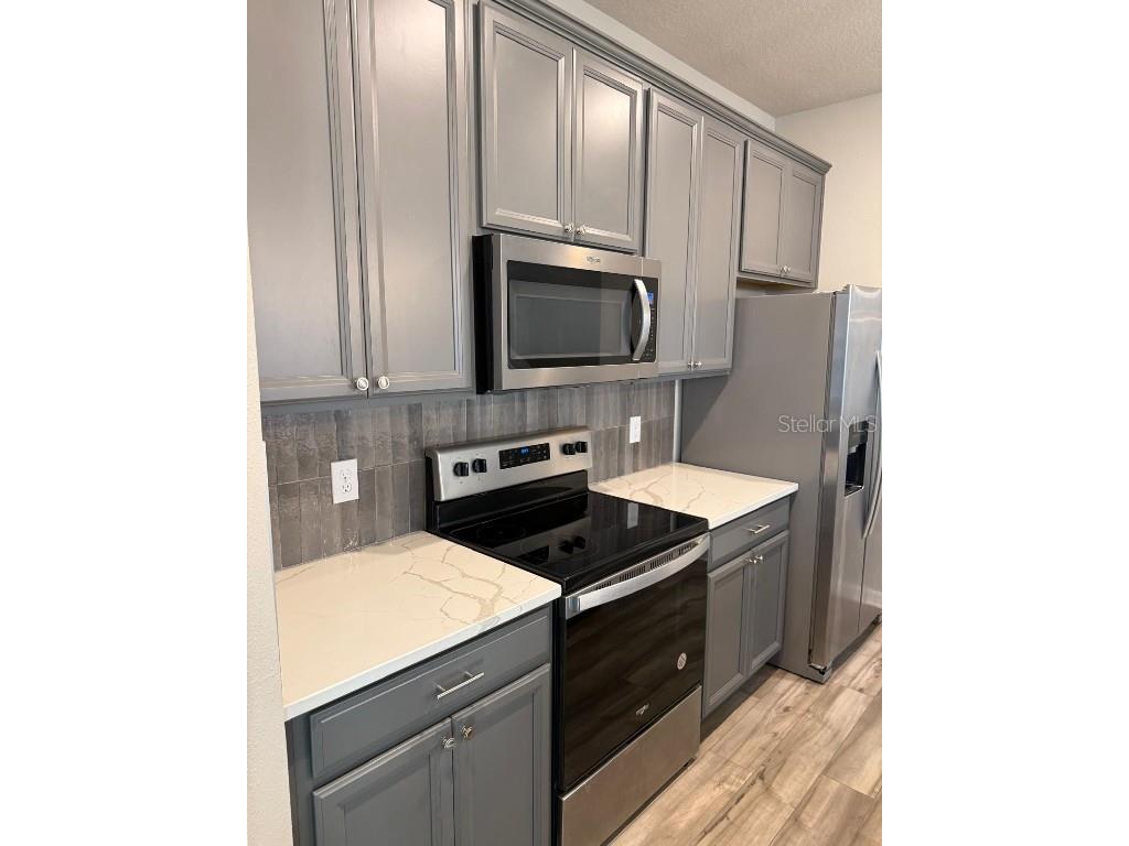 12055 Bracco Street Winter Garden FL 34787 O6366675 image9