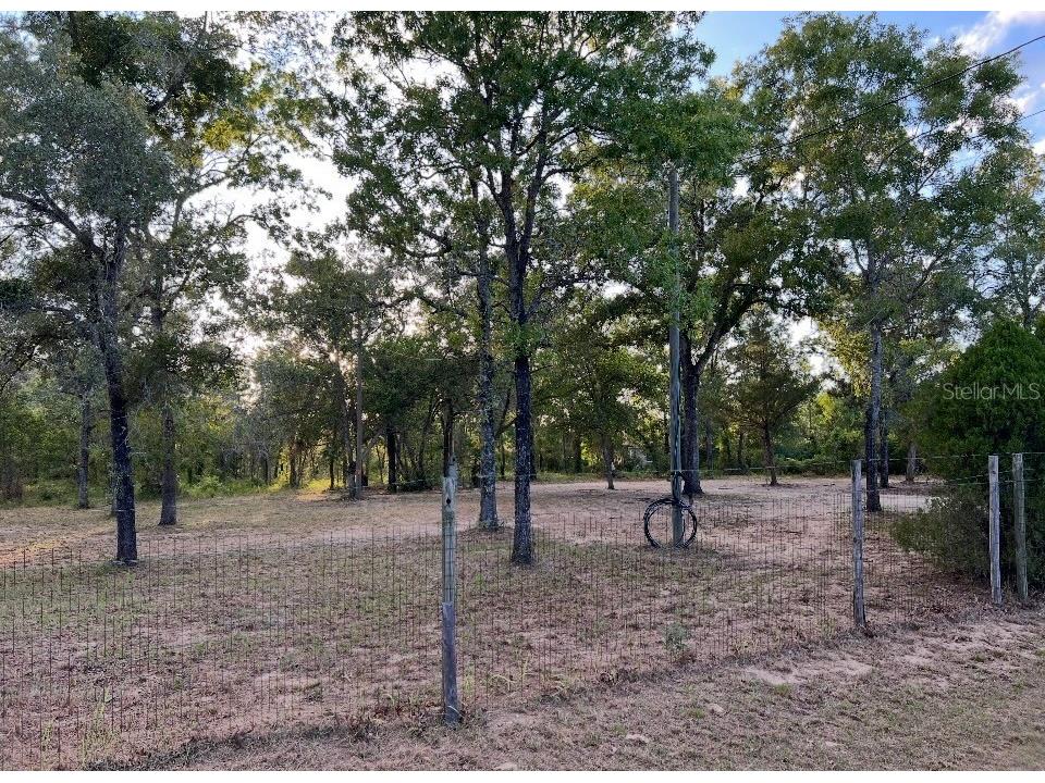 12055 Finch Road Weeki Wachee FL 34614 W7885364 image3
