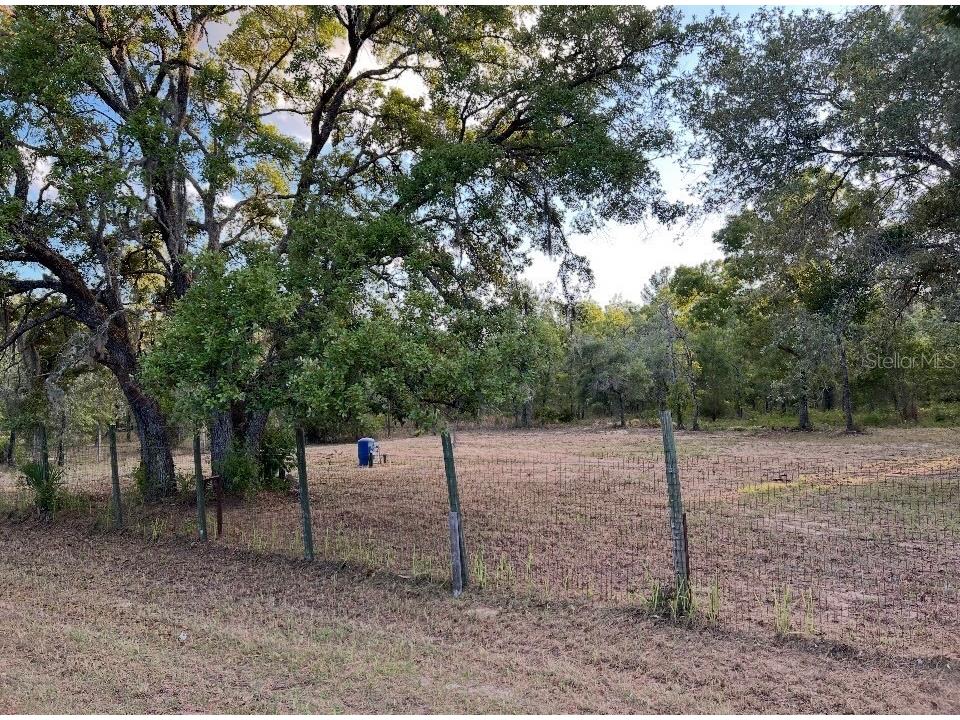 12055 Finch Road Weeki Wachee FL 34614 W7885364 image4
