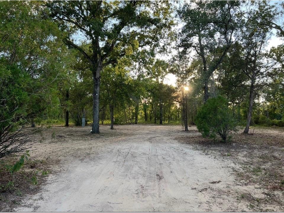 12055 Finch Road Weeki Wachee FL 34614 W7885364 image5