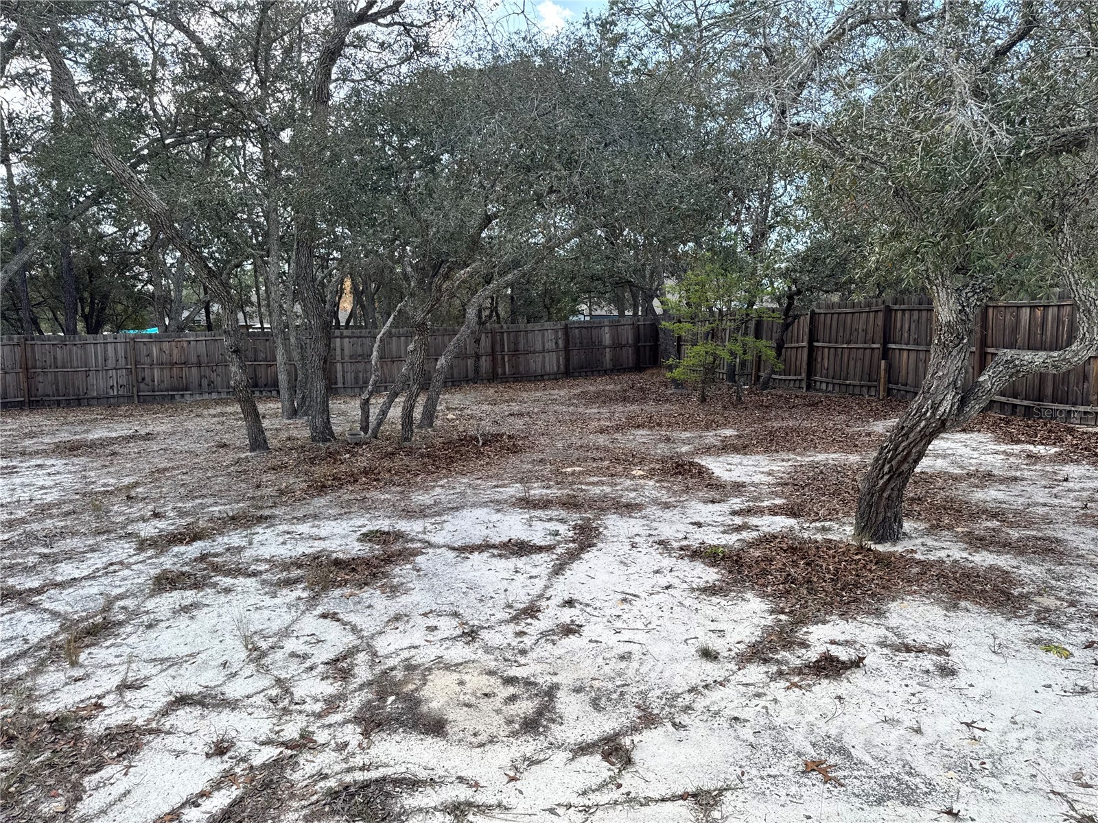 12055 Robina Road Weeki Wachee FL 34614 O6388918 image51