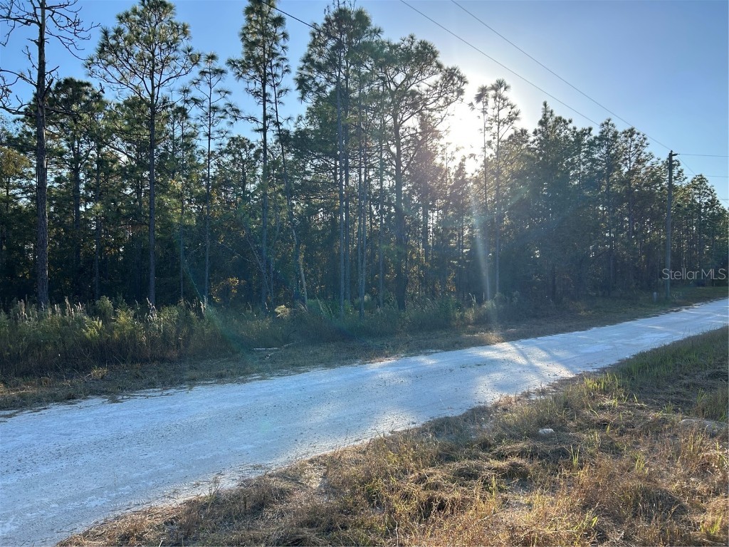 12056 Raschke Run Weeki Wachee FL 34614 W7860388 image1