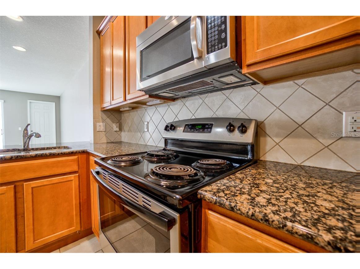 12057 Forsythia Drive Orlando FL 32827 R4910010 image10