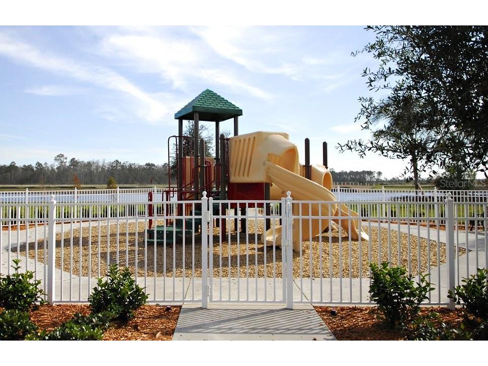 12057 Forsythia Drive Orlando FL 32827 R4910010 image45