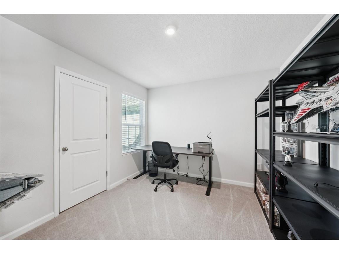 12057 Grizzly Lane New Port Richey FL 34654 O6354705 image16