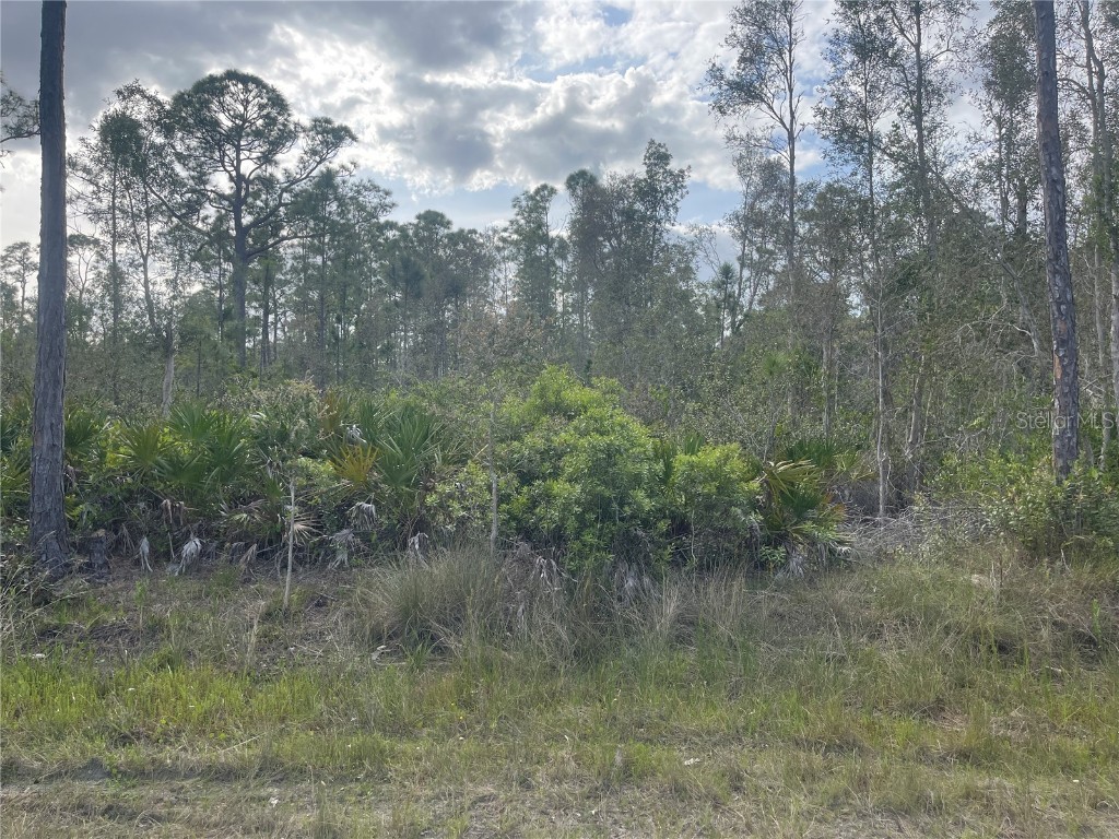 12057 Narango Drive Punta Gorda FL 33955 C7490199 image1