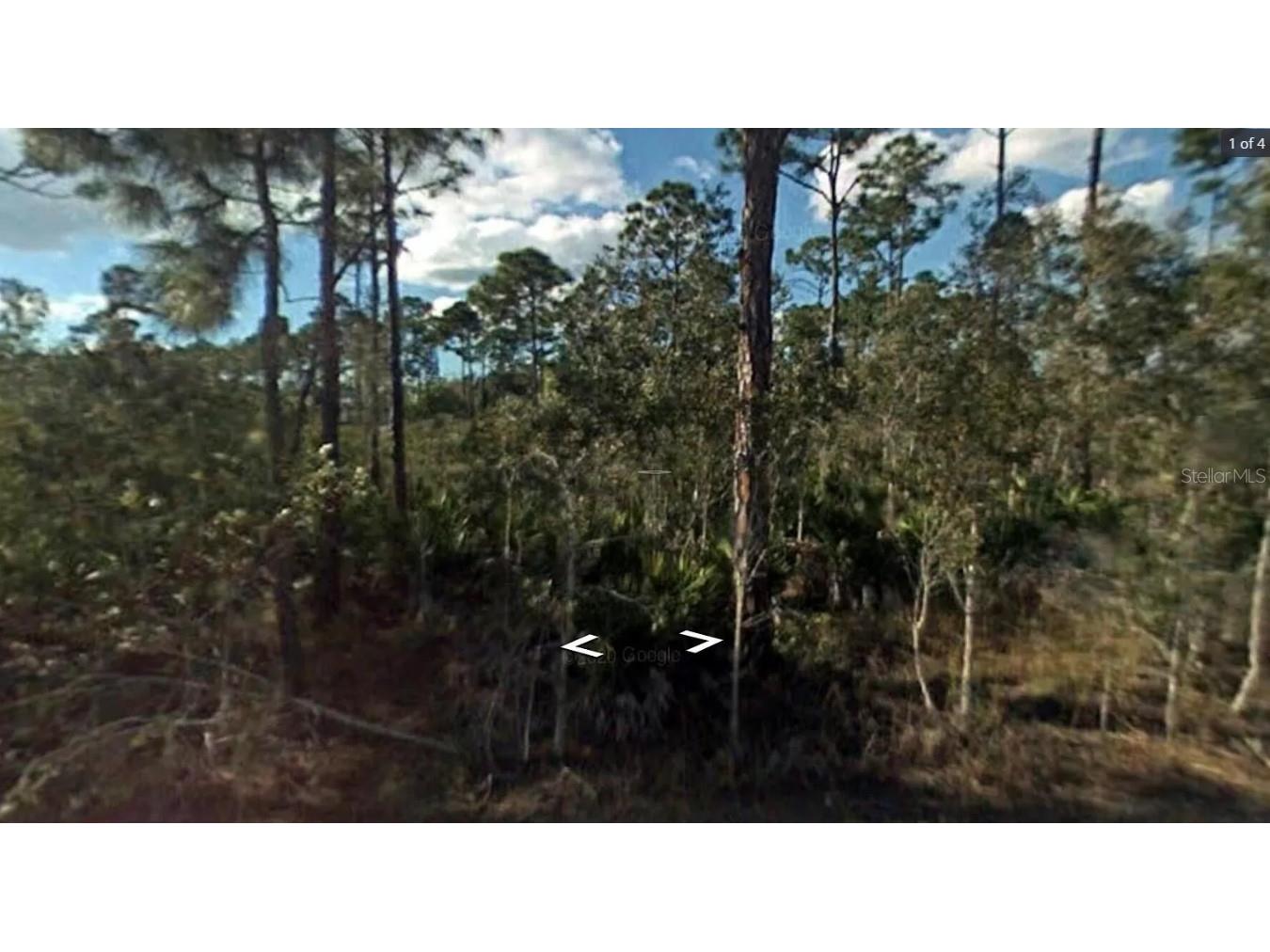 12059 Platano Drive Punta Gorda FL 33955 J977192 image1