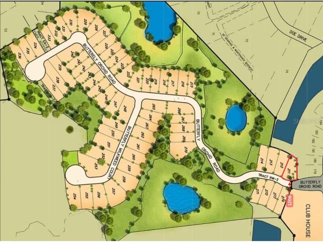 1206 Butterfly Orchid Road Davenport FL 33837 S5132019 image2