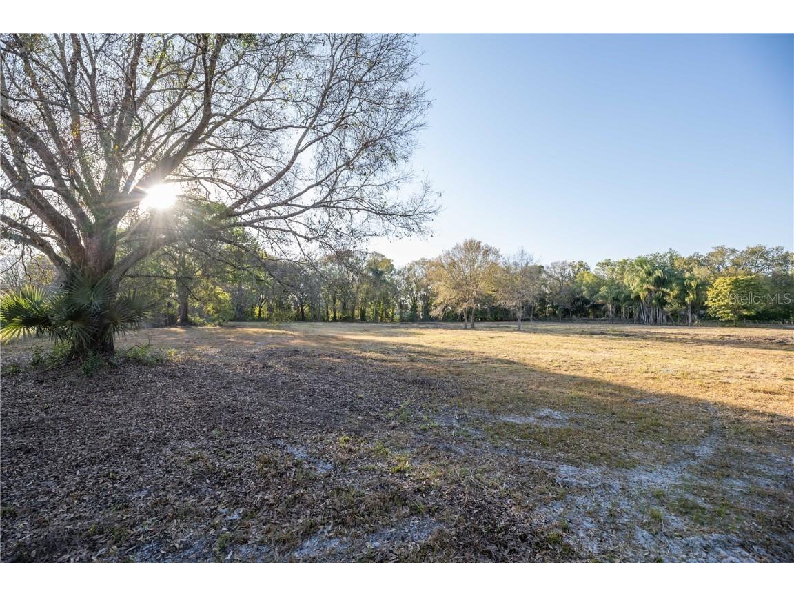 1206 Fisher Lane Brandon FL 33510 TB8383893 image7