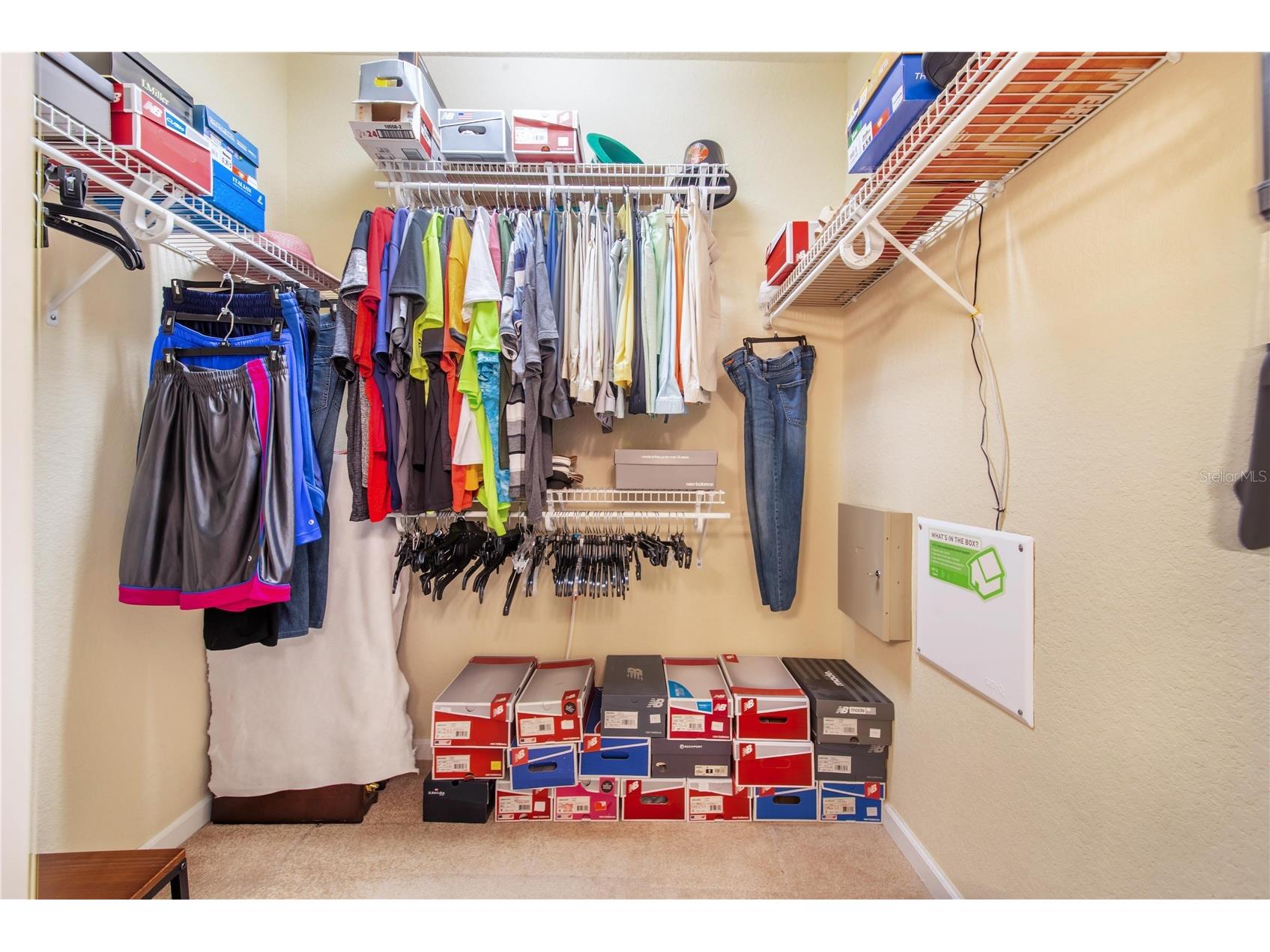 1206 Romani Avenue Champions Gate FL 33896 TB8489162 image23