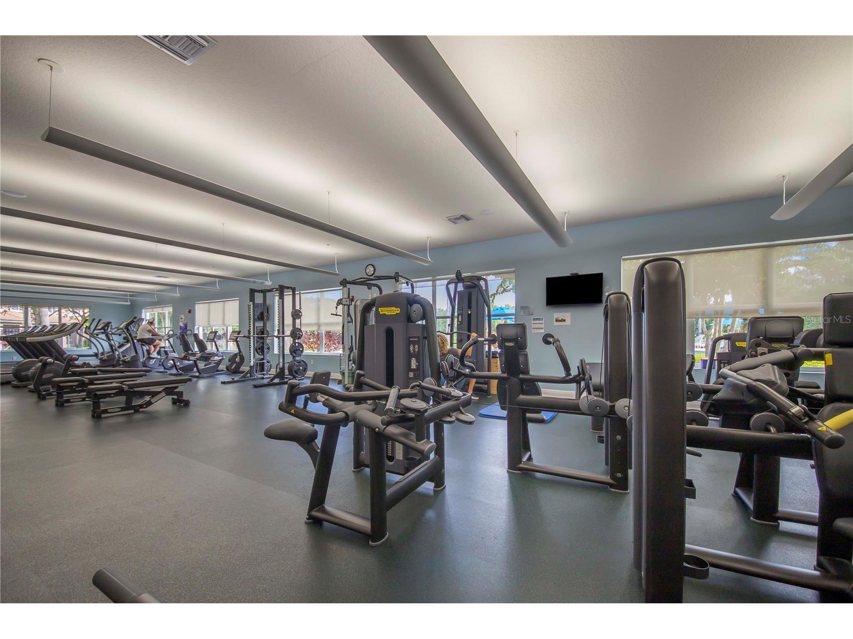 1206 Romani Avenue Champions Gate FL 33896 TB8489162 image43
