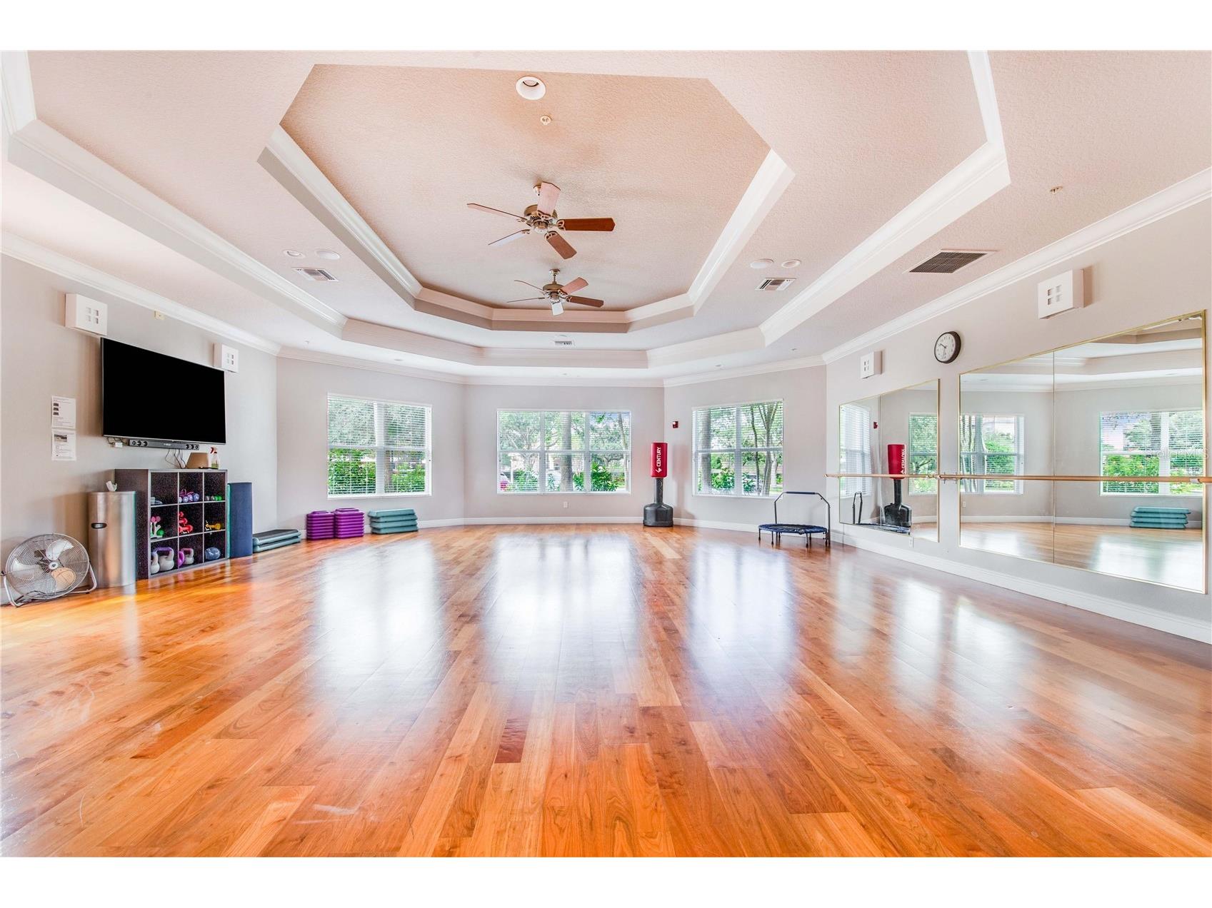 1206 Romani Avenue Champions Gate FL 33896 TB8489162 image44