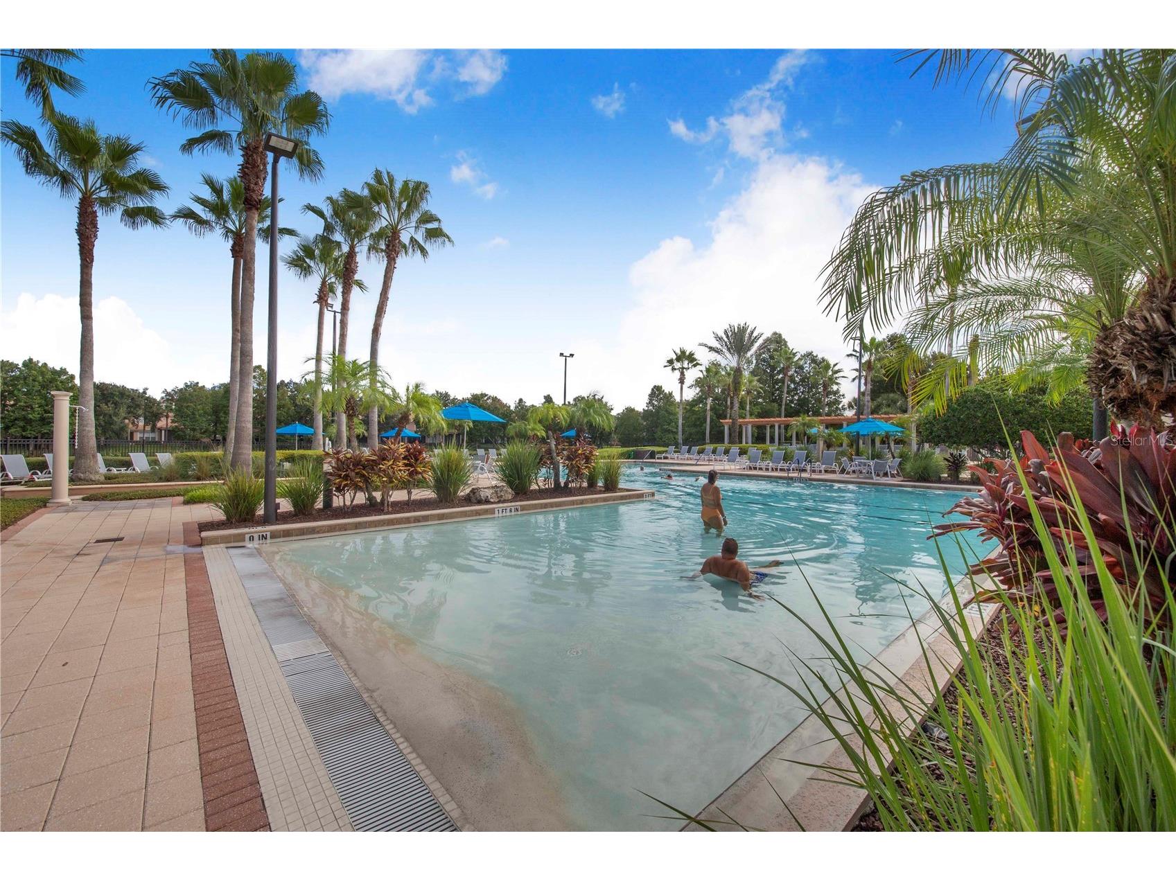 1206 Romani Avenue Champions Gate FL 33896 TB8489162 image48