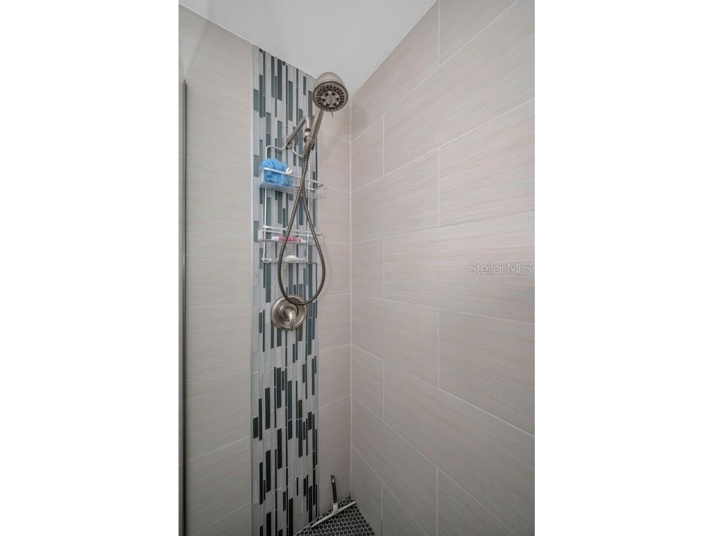 1206 S Pointe Alexis Drive Tarpon Springs FL 34689 TB8436805 image22