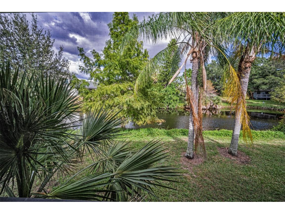 1206 S Pointe Alexis Drive Tarpon Springs FL 34689 TB8436805 image33