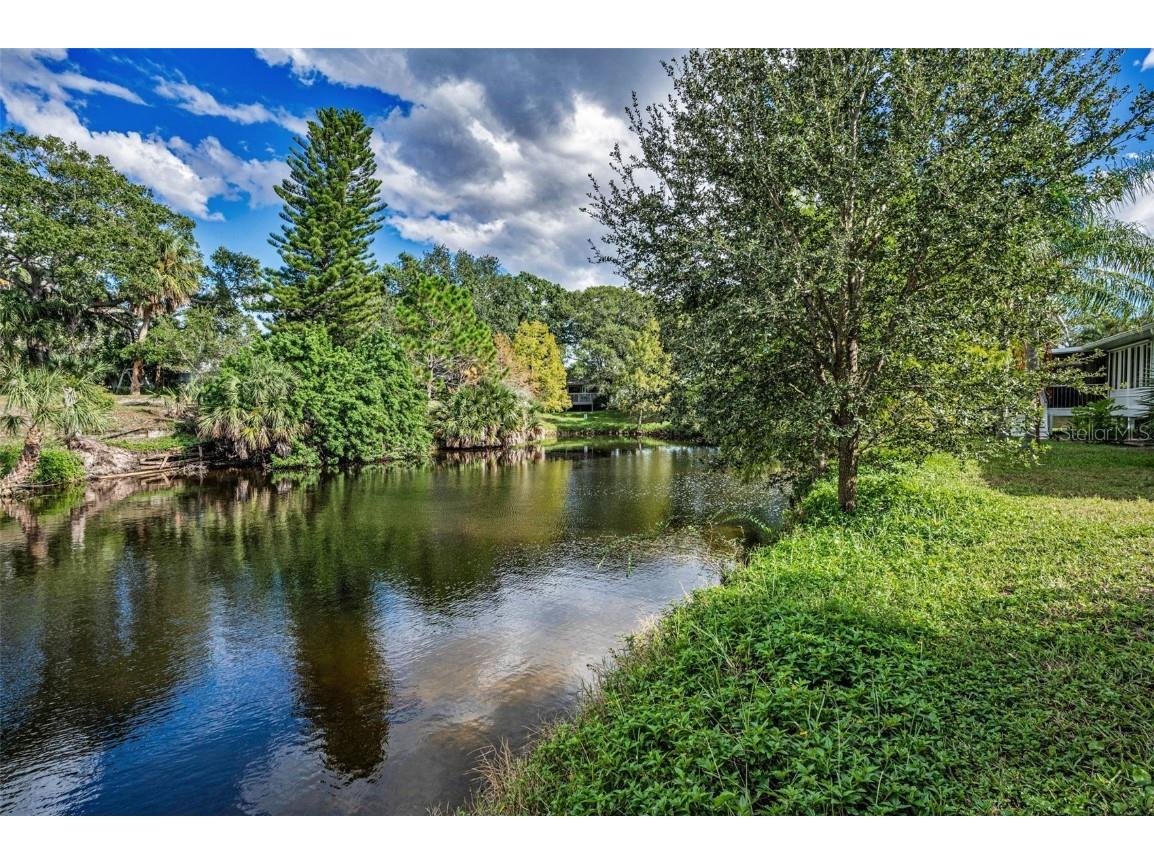 1206 S Pointe Alexis Drive Tarpon Springs FL 34689 TB8436805 image39