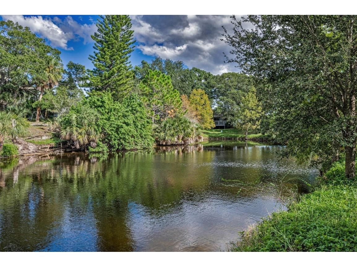 1206 S Pointe Alexis Drive Tarpon Springs FL 34689 TB8436805 image40