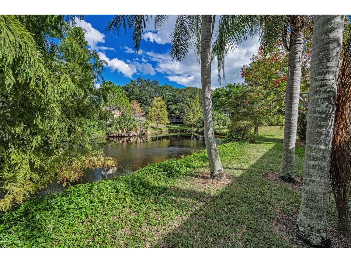 1206 S Pointe Alexis Drive Tarpon Springs FL 34689 TB8436805 image42