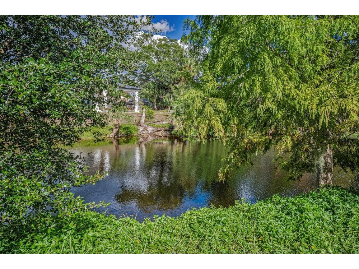 1206 S Pointe Alexis Drive Tarpon Springs FL 34689 TB8436805 image43