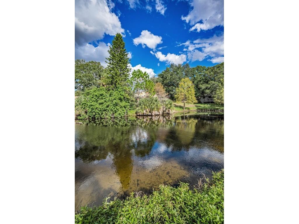 1206 S Pointe Alexis Drive Tarpon Springs FL 34689 TB8436805 image46