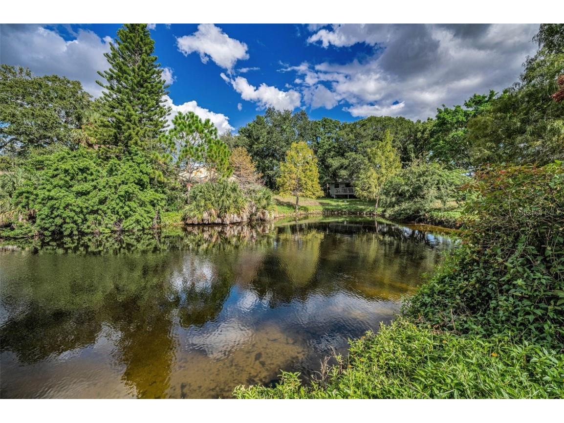 1206 S Pointe Alexis Drive Tarpon Springs FL 34689 TB8436805 image47