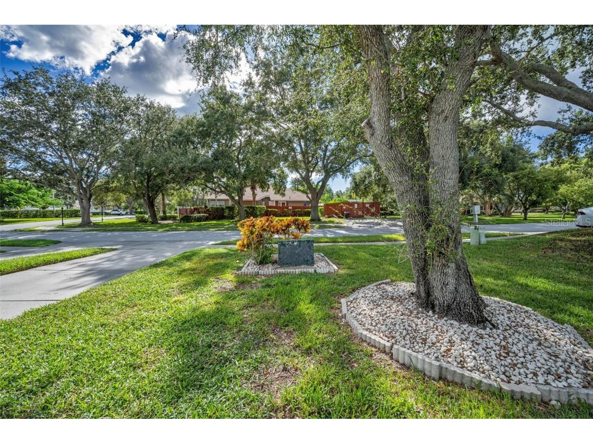 1206 S Pointe Alexis Drive Tarpon Springs FL 34689 TB8436805 image51