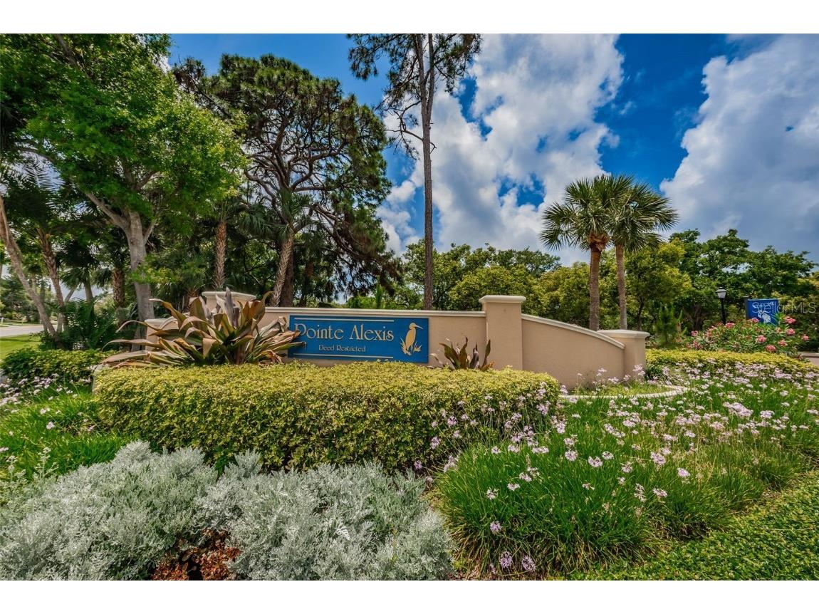 1206 S Pointe Alexis Drive Tarpon Springs FL 34689 TB8436805 image53