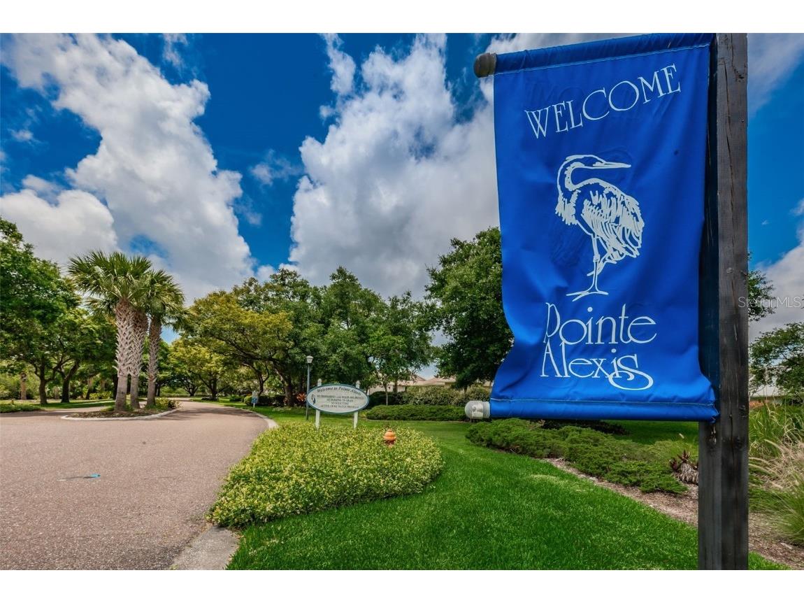 1206 S Pointe Alexis Drive Tarpon Springs FL 34689 TB8436805 image54