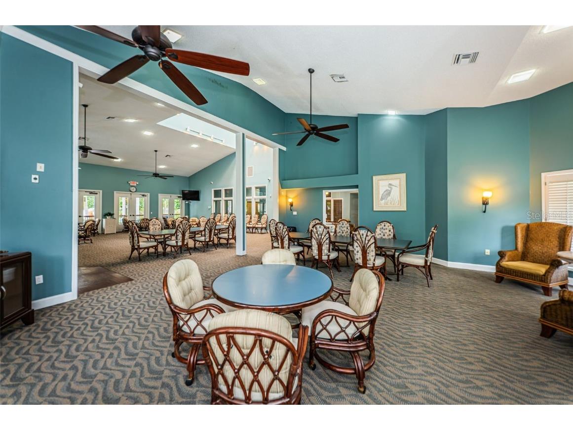 1206 S Pointe Alexis Drive Tarpon Springs FL 34689 TB8436805 image62