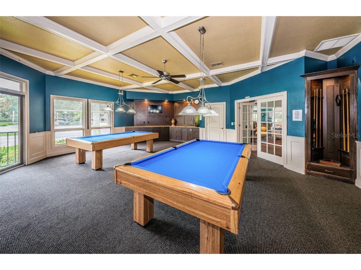 1206 S Pointe Alexis Drive Tarpon Springs FL 34689 TB8436805 image68