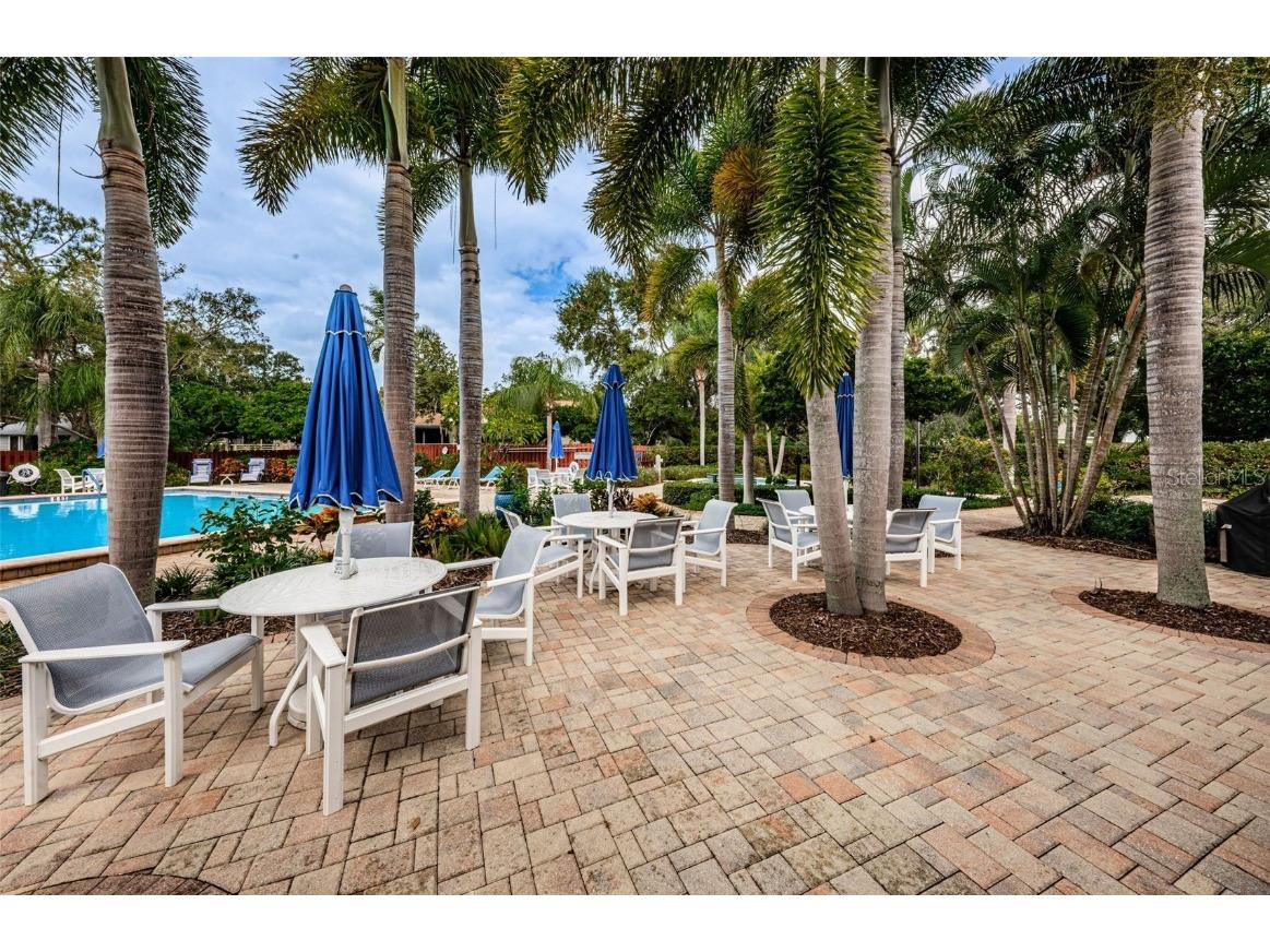 1206 S Pointe Alexis Drive Tarpon Springs FL 34689 TB8436805 image78