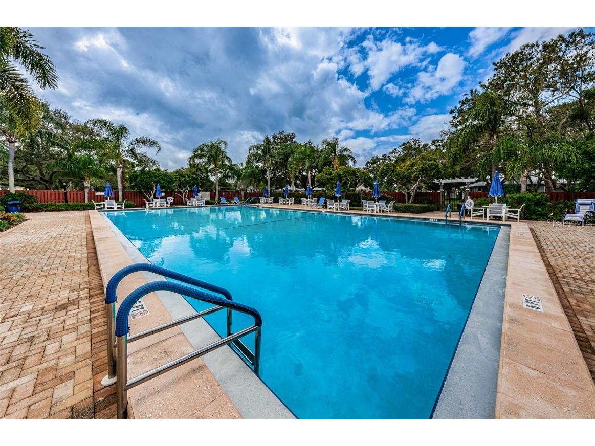 1206 S Pointe Alexis Drive Tarpon Springs FL 34689 TB8436805 image84