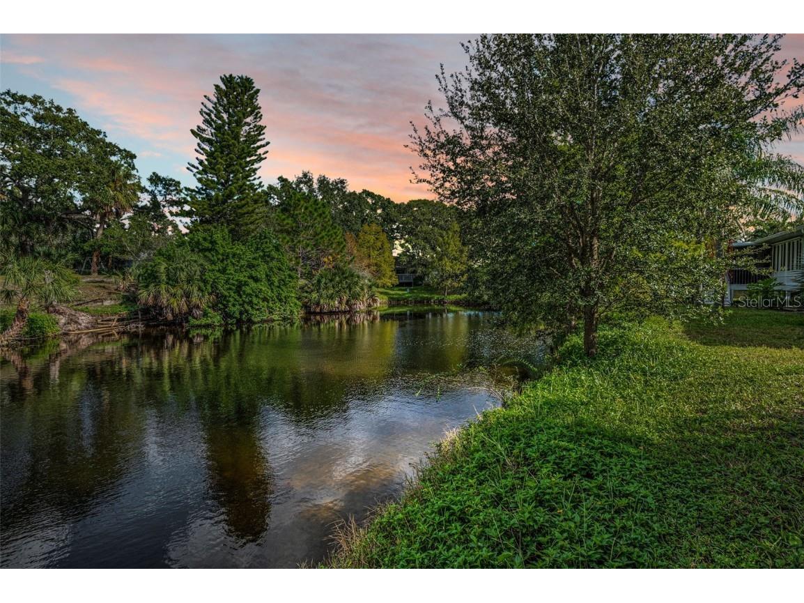 1206 S Pointe Alexis Drive Tarpon Springs FL 34689 TB8436805 image85