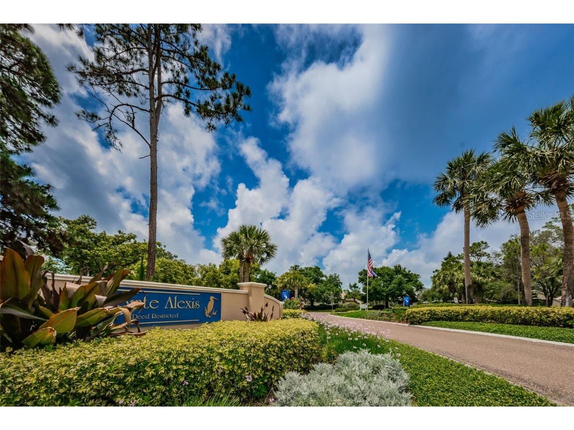 1206 S Pointe Alexis Drive Tarpon Springs FL 34689 TB8436805 image94