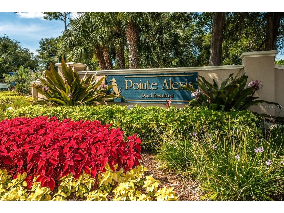 1206 S Pointe Alexis Drive Tarpon Springs FL 34689 TB8436805 image96