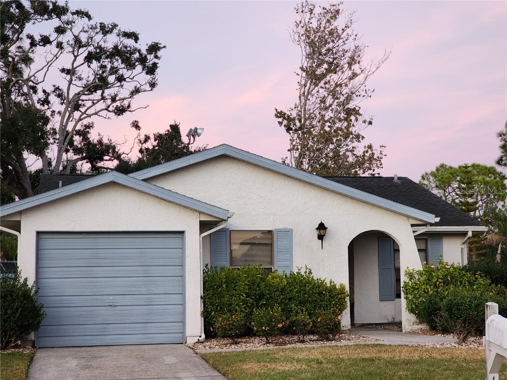 1206 Sawgrass Court Oldsmar FL 34677 TB8449708 image1