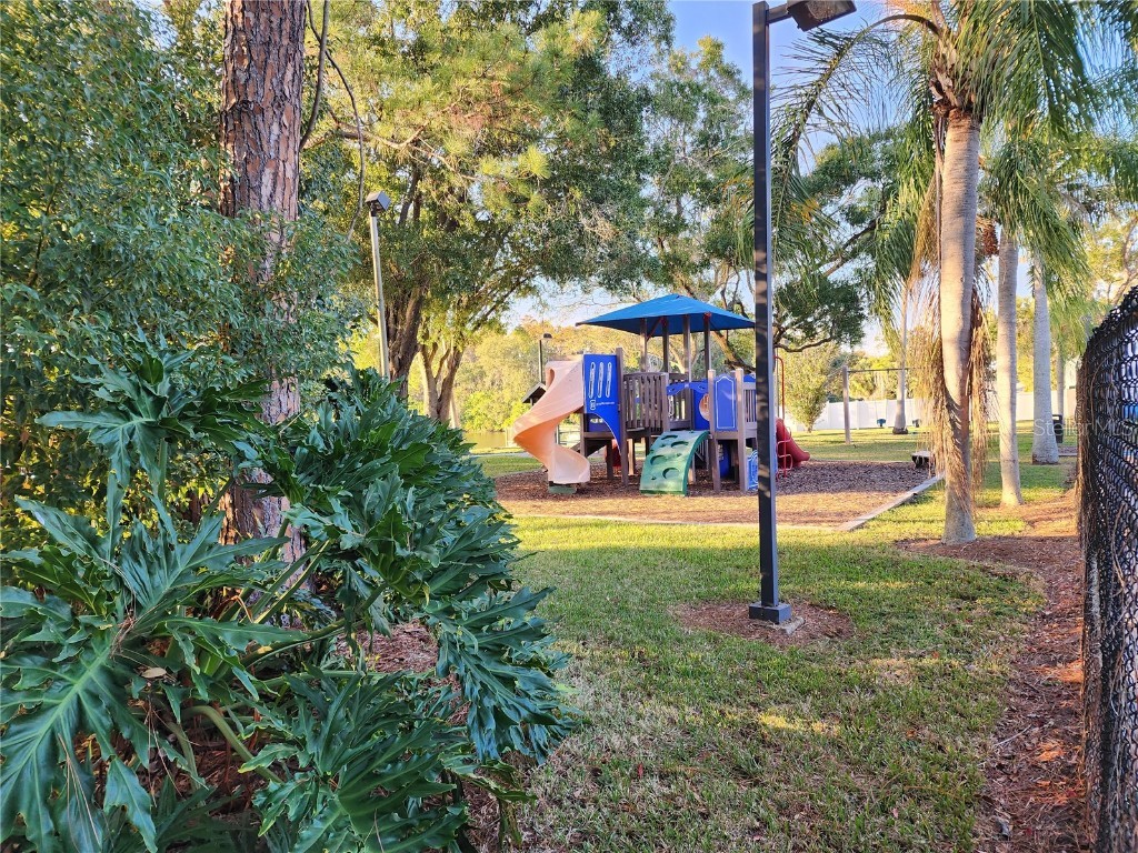 1206 Sawgrass Court Oldsmar FL 34677 TB8449708 image4