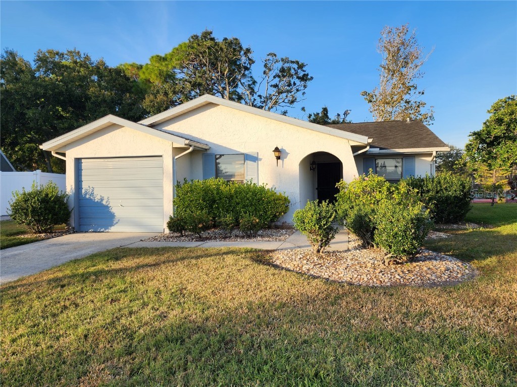 1206 Sawgrass Court Oldsmar FL 34677 TB8449708 image5