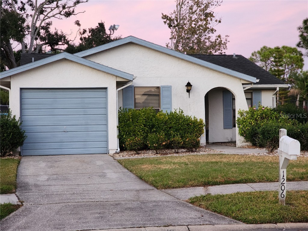 1206 Sawgrass Court Oldsmar FL 34677 TB8449708 image6