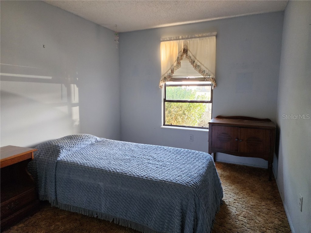 1206 Sawgrass Court Oldsmar FL 34677 TB8449708 image7