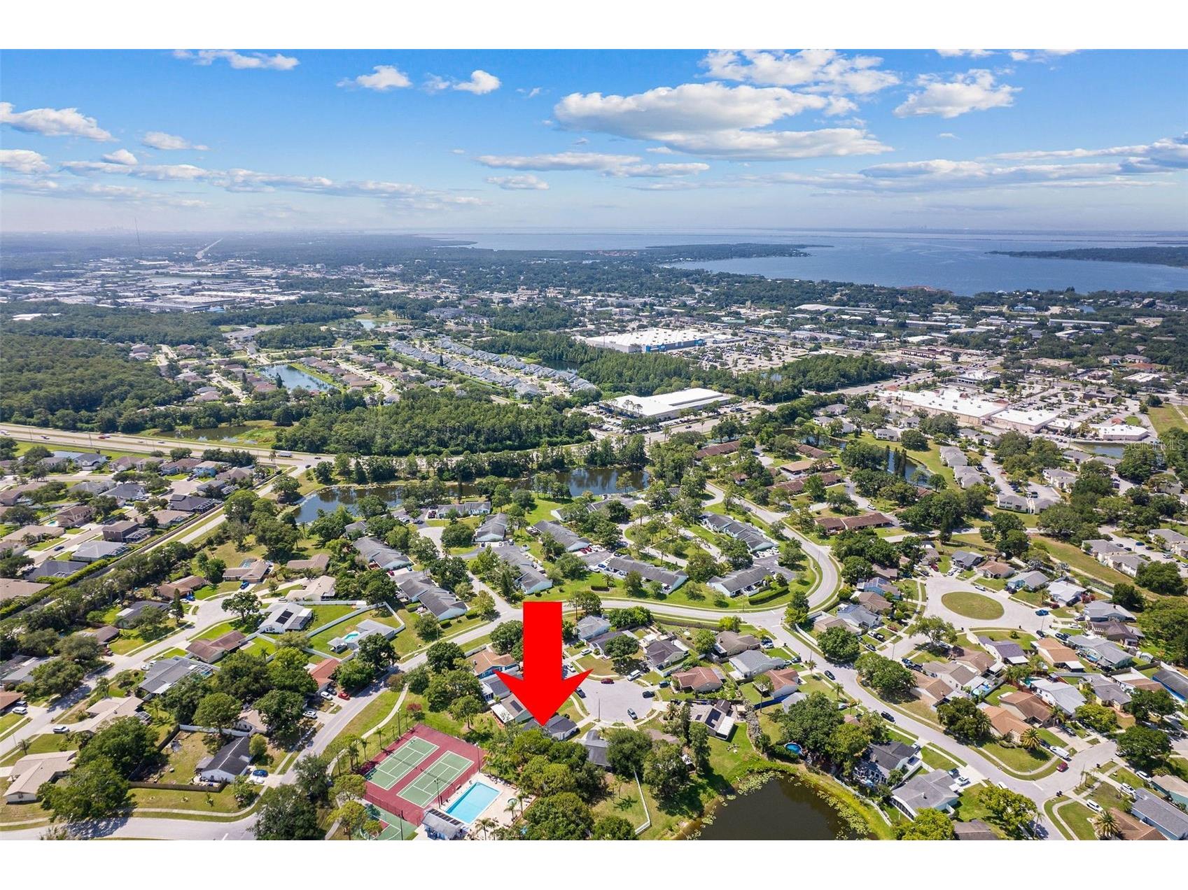 1206 Sawgrass Court Oldsmar FL 34677 TB8521459 image26