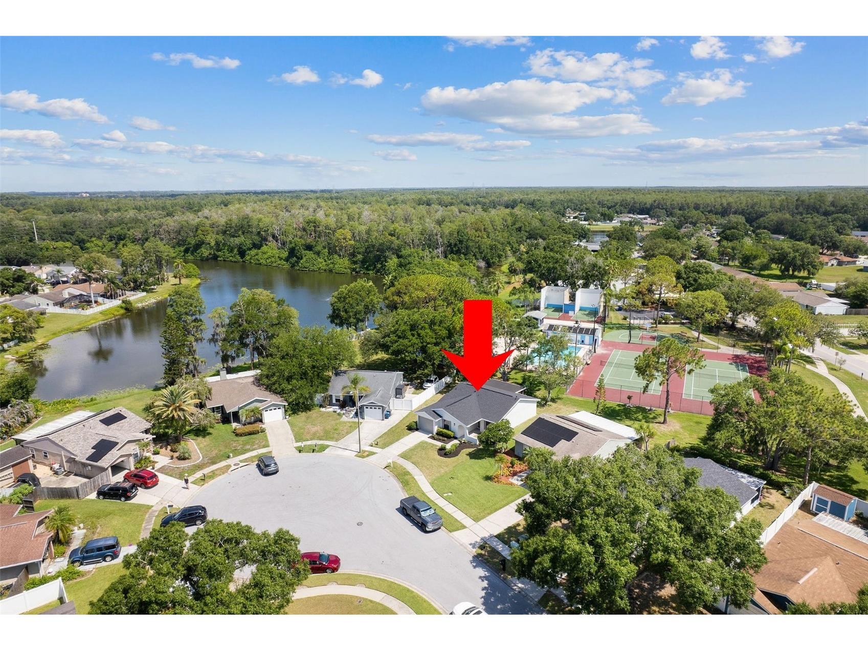 1206 Sawgrass Court Oldsmar FL 34677 TB8521459 image28