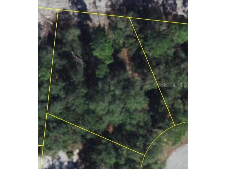 1206 Vernon Lane Kissimmee FL 34759 O6356951 image3